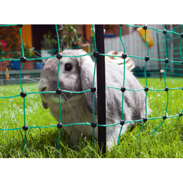 Rete per conigli AKO Verde Rete per conigli AKO Verde