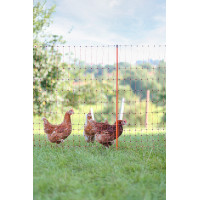 Rete per volatili AKO Arancione