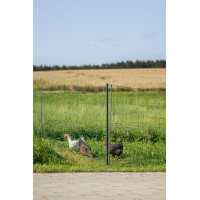 Rete per pollame Premium AKO Verde