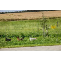 Rete per pollame Premium AKO Verde