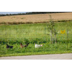 Rete per pollame Premium AKO Verde Rete per pollame Premium AKO Verde