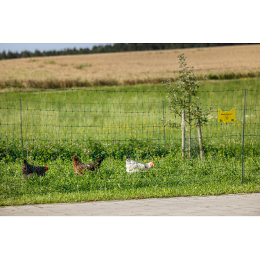 Rete per pollame Premium AKO Verde Rete per pollame Premium AKO Verde