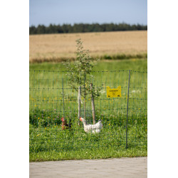 Rete per pollame Premium AKO Verde Rete per pollame Premium AKO Verde