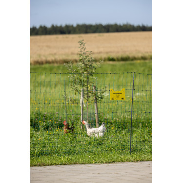 Rete per pollame Premium AKO Verde Rete per pollame Premium AKO Verde