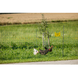 Rete per pollame Premium AKO Verde Rete per pollame Premium AKO Verde