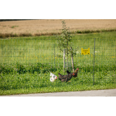 Rete per pollame Premium AKO Verde Rete per pollame Premium AKO Verde