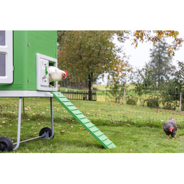 Mobile Coop Kerbl Hobbyfarming Verde / bianco Mobile Coop Kerbl Hobbyfarming Verde / bianco