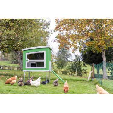 Mobile Coop Kerbl Hobbyfarming Verde / bianco Mobile Coop Kerbl Hobbyfarming Verde / bianco