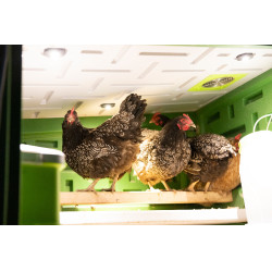 Mobile Coop Kerbl Hobbyfarming Verde / bianco Mobile Coop Kerbl Hobbyfarming Verde / bianco