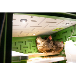 Mobile Coop Kerbl Hobbyfarming Verde / bianco Mobile Coop Kerbl Hobbyfarming Verde / bianco