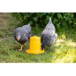 Mangiatoia per polli e pulcini Kerbl Hobbyfarming Giallo