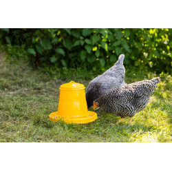 Mangiatoia per polli e pulcini Kerbl Hobbyfarming Giallo