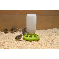 Mangiatoia per quaglie Kerbl Hobbyfarming Verde chiaro