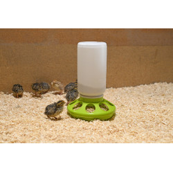 Mangiatoia per quaglie Kerbl Hobbyfarming Verde chiaro