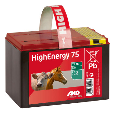 Pila a secco salina 9 volt High Energy AKO