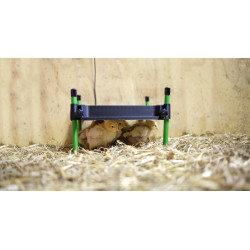 Piastra riscaldante per pulcini CosyHeat Kerbl Hobbyfarming Nero / verde