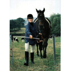 Cancello elettrico Electro Gate AKO Nero