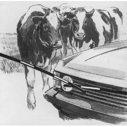 Cancello elettrico Electro Gate AKO Nero