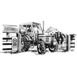 Cancello elettrico Electro Gate AKO Nero