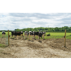 Cancello elettrico Electro Gate AKO Nero