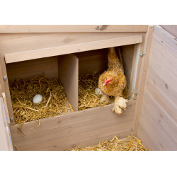Pollaio Emma Kerbl Hobbyfarming Naturale Marrone Pollaio Emma Kerbl Hobbyfarming Naturale Marrone