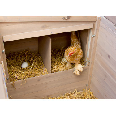 Pollaio Emma Kerbl Hobbyfarming Naturale Marrone Pollaio Emma Kerbl Hobbyfarming Naturale Marrone
