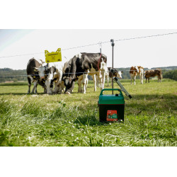 Power Shock B 290 AKO Verde