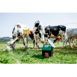 Power Shock B 290 AKO Verde