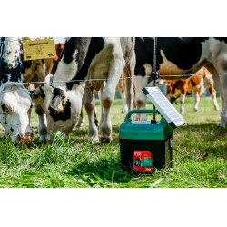 Power Shock B 290 AKO Verde