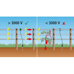 Pulse Flash AKO Nero Pulse Flash AKO Nero