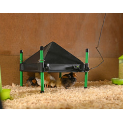 Alette di protezione per piastra riscaldante CosyHeat Kerbl Hobbyfarming Nero Alette di protezione per piastra riscaldante CosyHeat Kerbl Hobbyfarming Nero