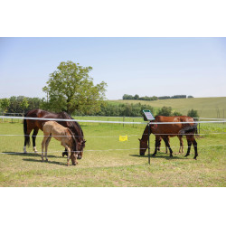 Nastro per recinzione PlatinumLine AKO Bianco / blu Nastro per recinzione PlatinumLine AKO Bianco / blu