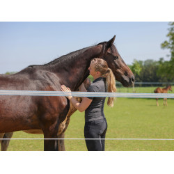 Nastro per recinzione PlatinumLine AKO Bianco / blu Nastro per recinzione PlatinumLine AKO Bianco / blu