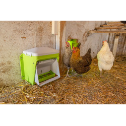 Dosatore SmartCoop con sensore di livello Kerbl Hobbyfarming Verde