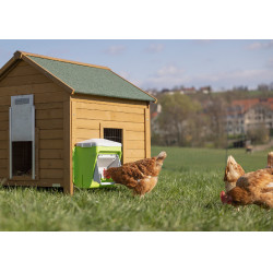 Mangiatoia con dispositivo anti-parassiti Kerbl Hobbyfarming Verde / grigio chiaro