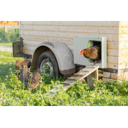 Porta per pollaio SmartCoop Kerbl Hobbyfarming Grigio Porta per pollaio SmartCoop Kerbl Hobbyfarming Grigio
