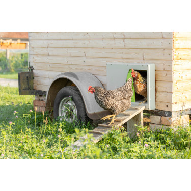 Porta per pollaio SmartCoop Kerbl Hobbyfarming Grigio Porta per pollaio SmartCoop Kerbl Hobbyfarming Grigio