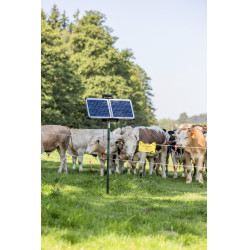 Sun Power S 2400 smart AKO Verde