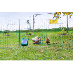 Sun Power S 250 AKO Verde Sun Power S 250 AKO Verde