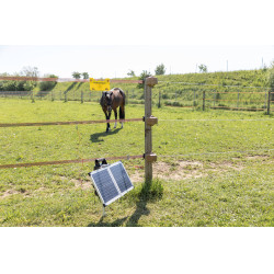 Sun Power S 3000 AKO Verde