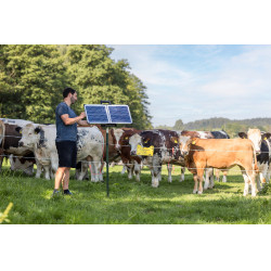 Sun Power S 3000 AKO Verde