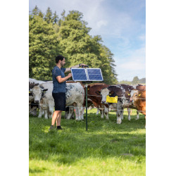 Sun Power S 3000 AKO Verde