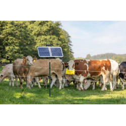 Sun Power S 3000 AKO Verde