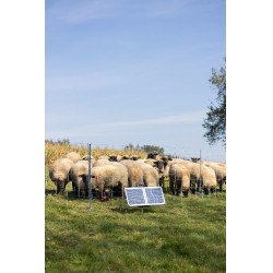 Sun Power S 3000 AKO Verde