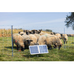 Sun Power S 3000 AKO Verde