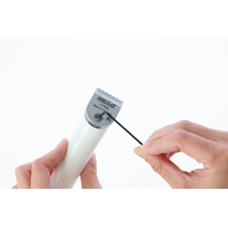 Testina di ricambio per Exacta/Isis Aesculap Grigio Testina di ricambio per Exacta/Isis Aesculap Grigio