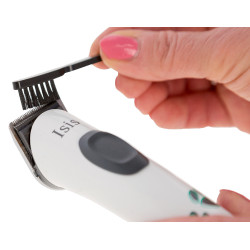 Testina di ricambio per Exacta/Isis Aesculap Grigio Testina di ricambio per Exacta/Isis Aesculap Grigio