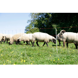 TitanLight Rete Kerbl Hobbyfarming Arancione / nero