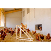 Torre di arrampicata per galline Kerbl Hobbyfarming Legno Beige