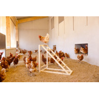Torre di arrampicata per galline Kerbl Hobbyfarming Legno Beige